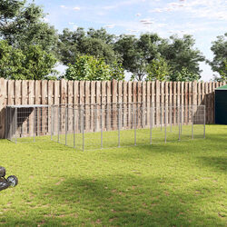 Practical Outdoor Kennel for Your Dog's Active Lifestyle