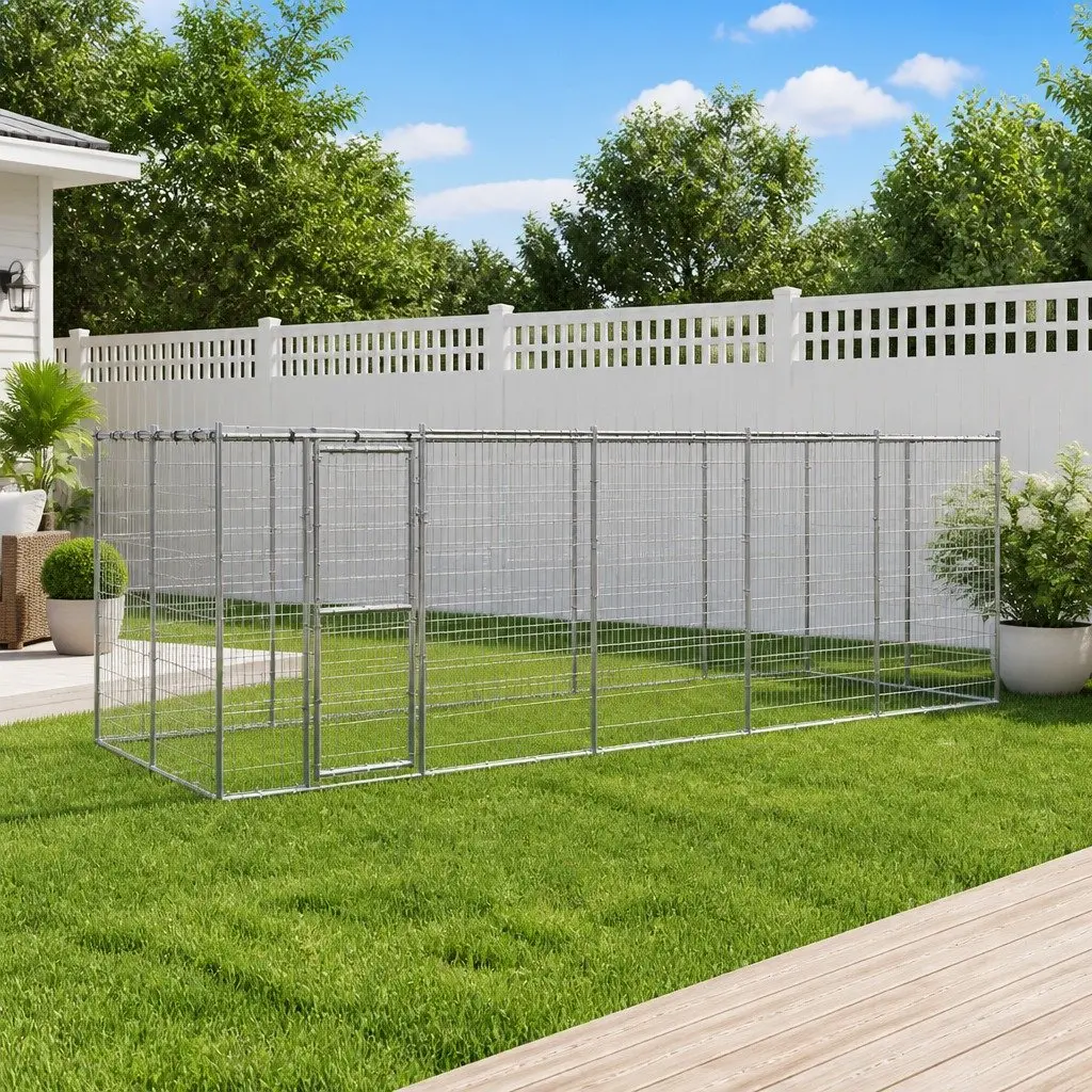 Outdoor Dog Kennel for Training and Exercising
