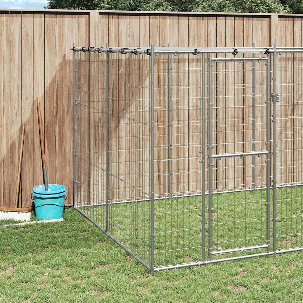 Outdoor Dog Kennel for Training and Exercising