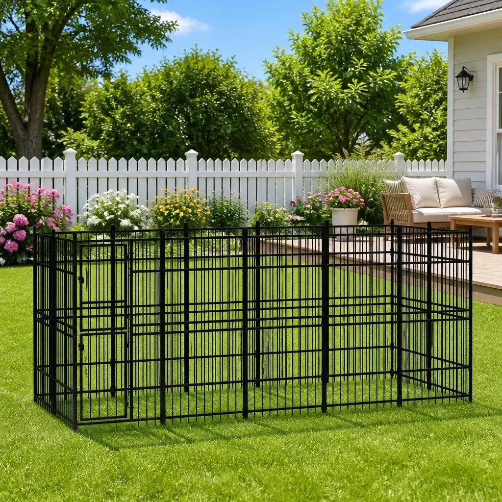 Outdoor Dog Kennel for Active Playtime