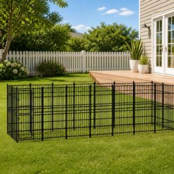 Practical Outdoor Kennel for Your Active Dog