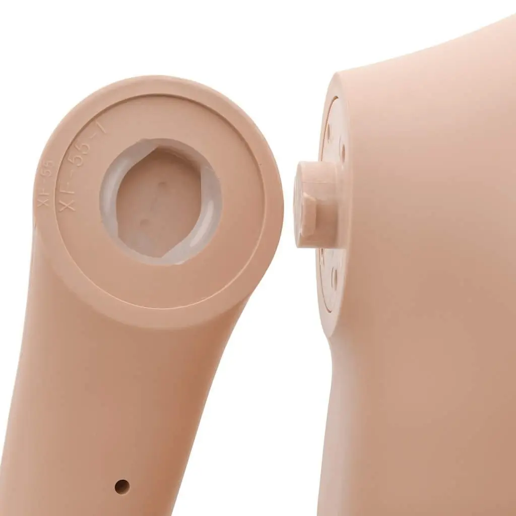 Female Mannequin Display Figure Adjustable Head Arms Beige 360° for Boutique Shop