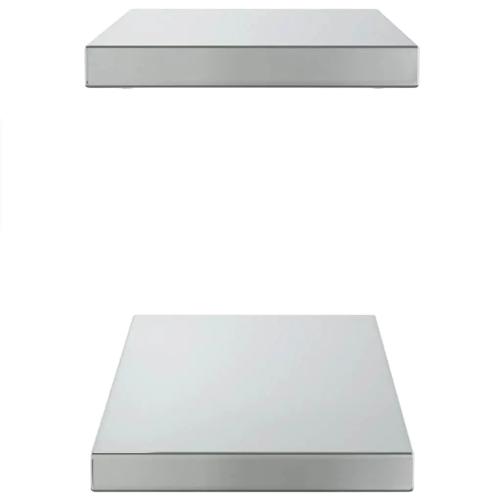 Wall Shelves Stainless Steel 50x23.5 cm Silver Floating Mounted Display Shelf 2 pcs