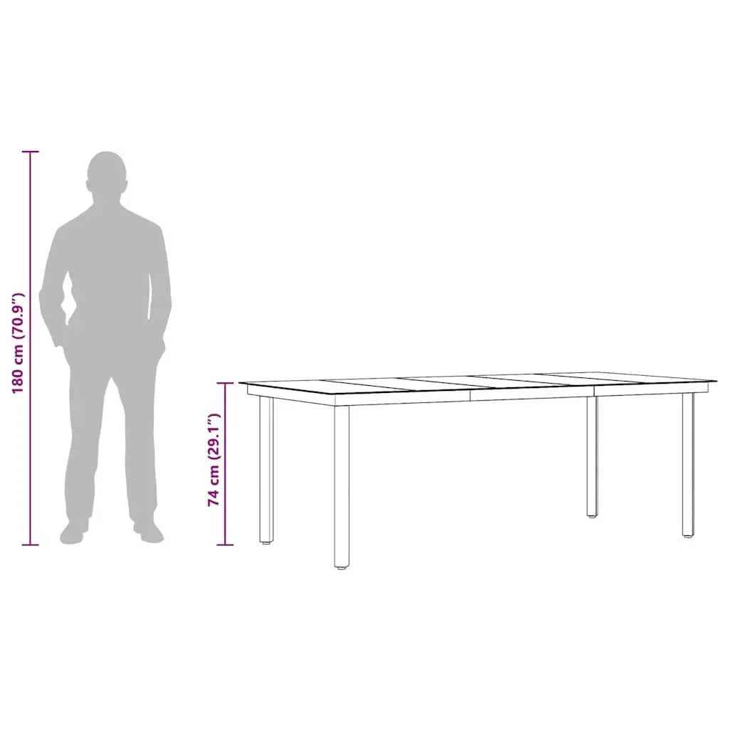 Garden Dining Table Steel Frame Glass Top 200 x 100 cm Black
