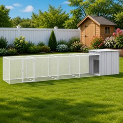 Ideal Chicken Cage for Small Animals in Your Backyard