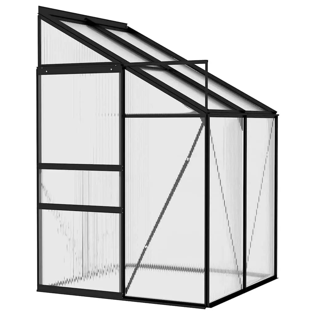 Anthracite Greenhouse for Home Gardening