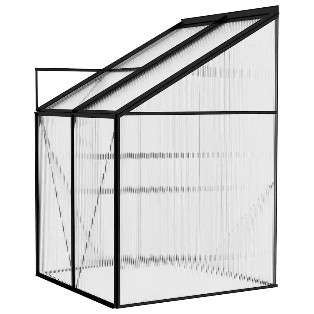 Anthracite Greenhouse for Home Gardening