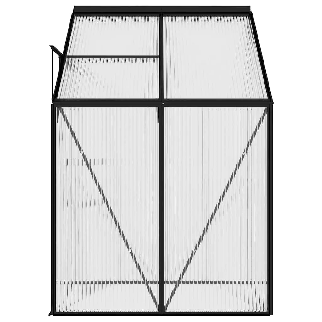 Anthracite Greenhouse for Home Gardening