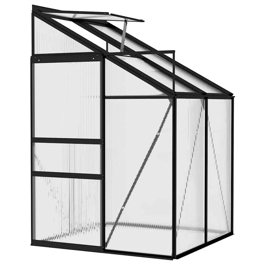 Anthracite Greenhouse for Home Gardening