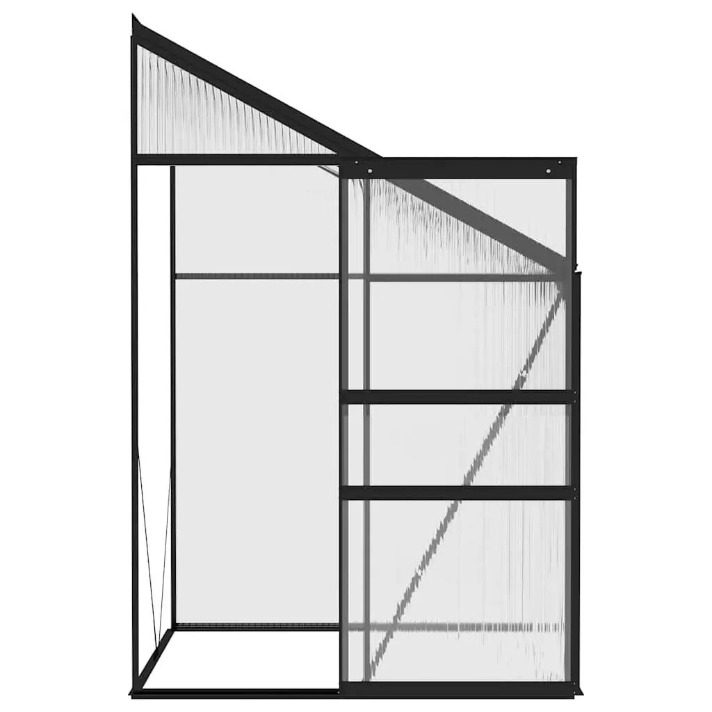 Anthracite Greenhouse for Home Gardening