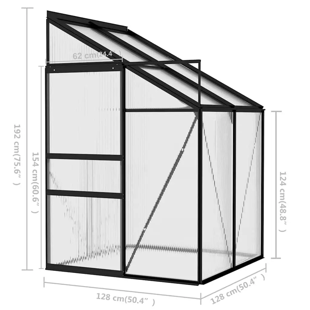 Anthracite Greenhouse for Home Gardening
