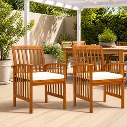 Practical Dining Chairs for Outdoor Gatherings - Set of 2