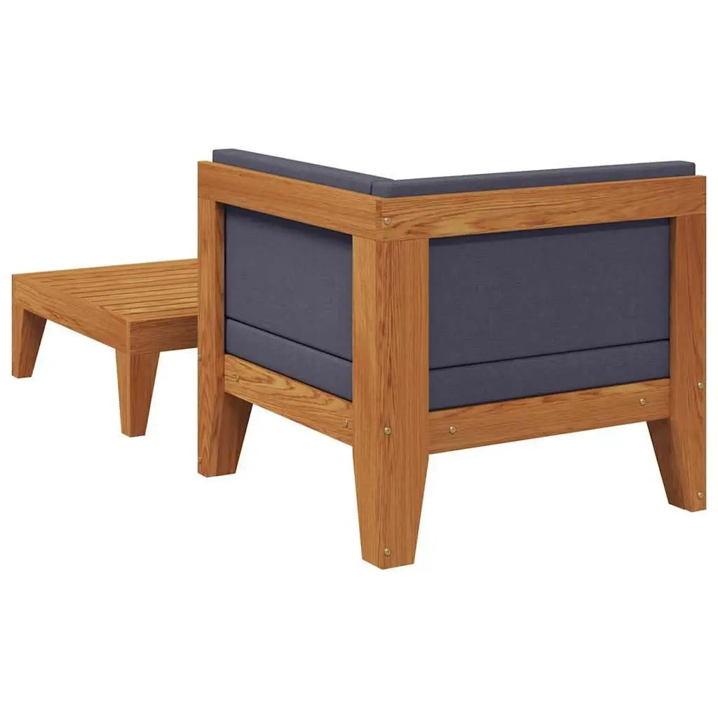 2-Piece Outdoor Lounge Set for Relaxing