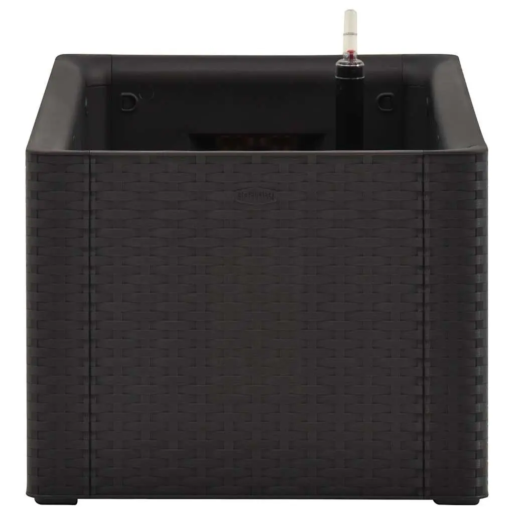 Raised Garden Bed Self Watering System Anthracite 100 x 43 x 33 cm PP