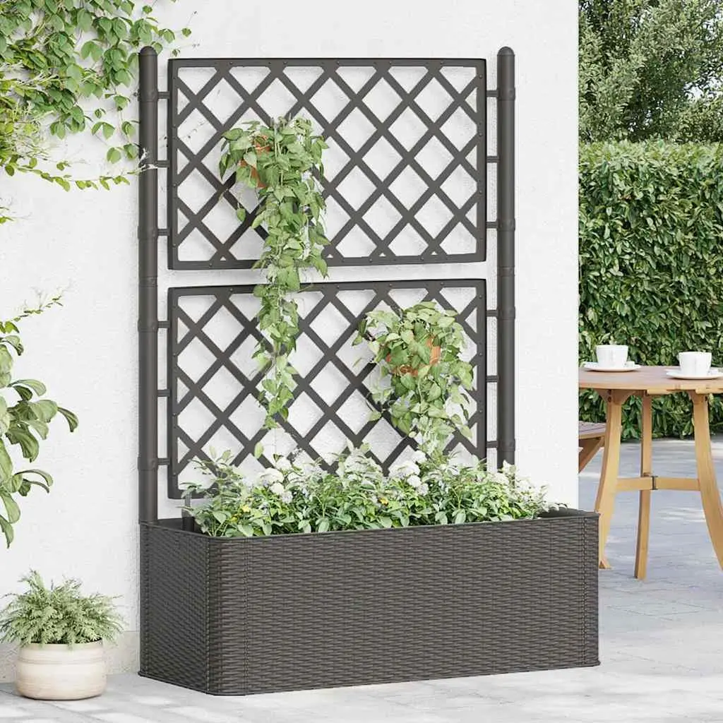 Self-Watering Planter Box Anthracite Raised Garden Bed with Trellis Outdoor