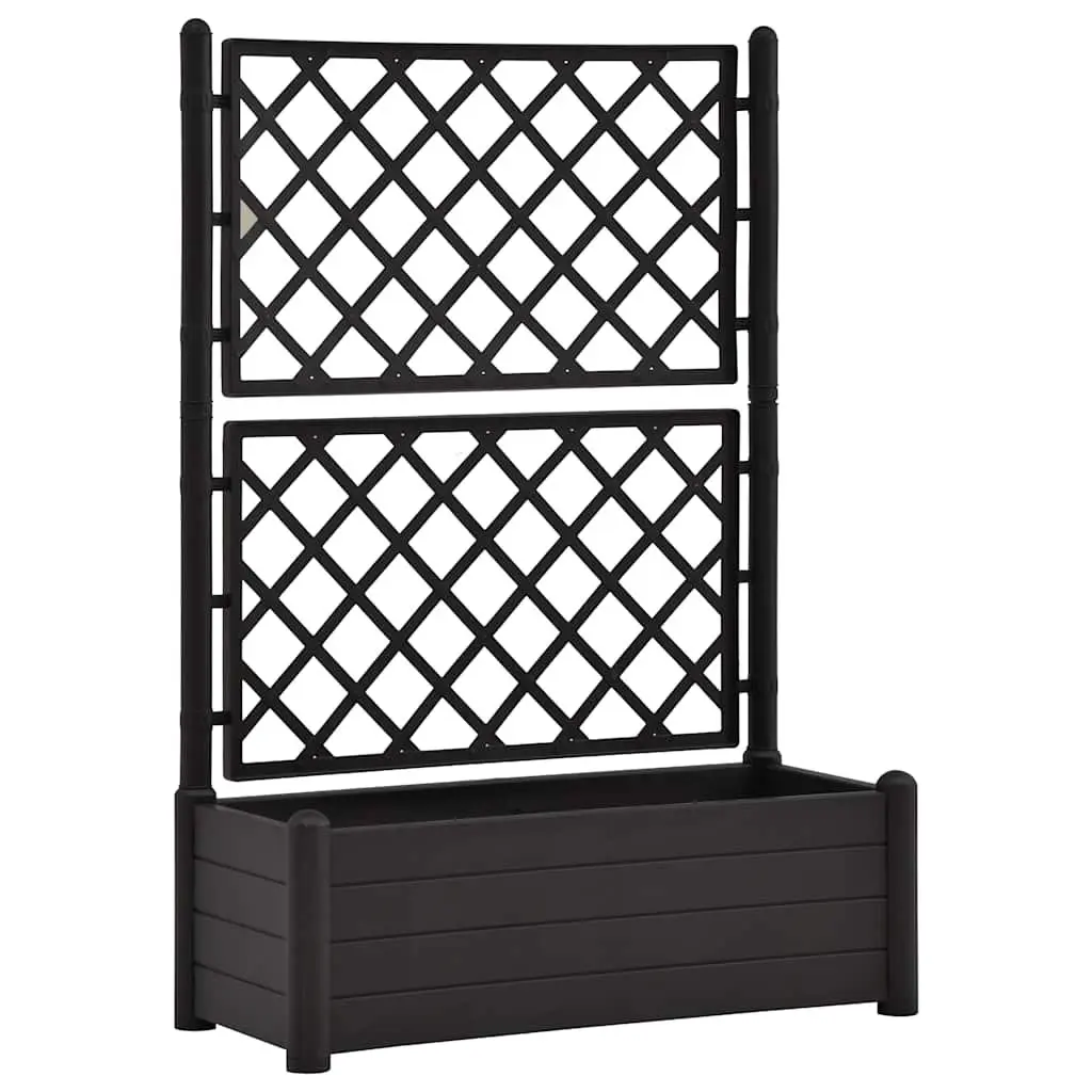 Garden Planter Raised Bed with Trellis 100 x 43 x 142 cm Anthracite
