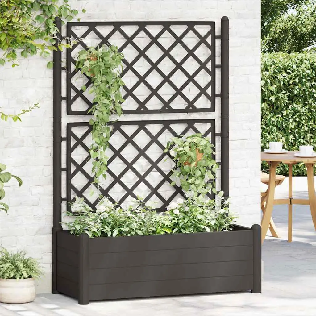 Garden Planter Raised Bed with Trellis 100 x 43 x 142 cm Anthracite