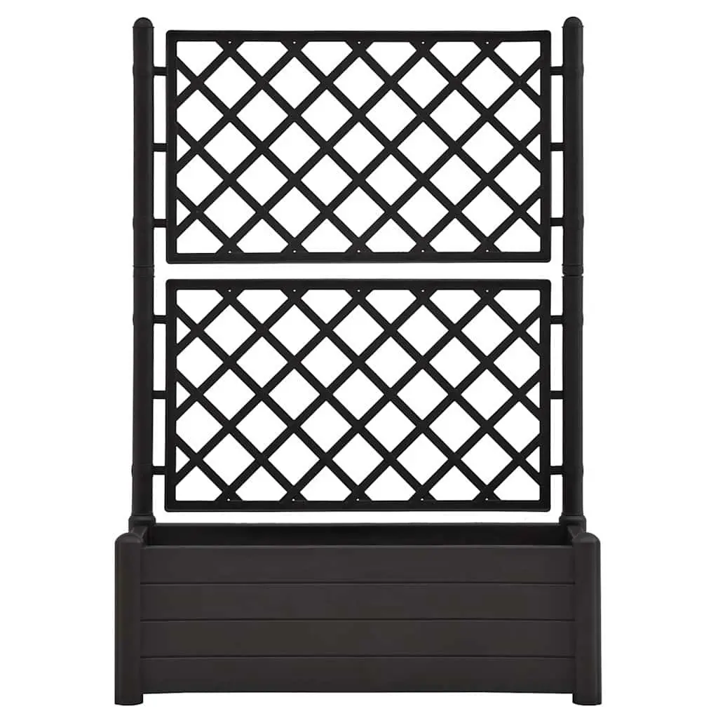 Garden Planter Raised Bed with Trellis 100 x 43 x 142 cm Anthracite