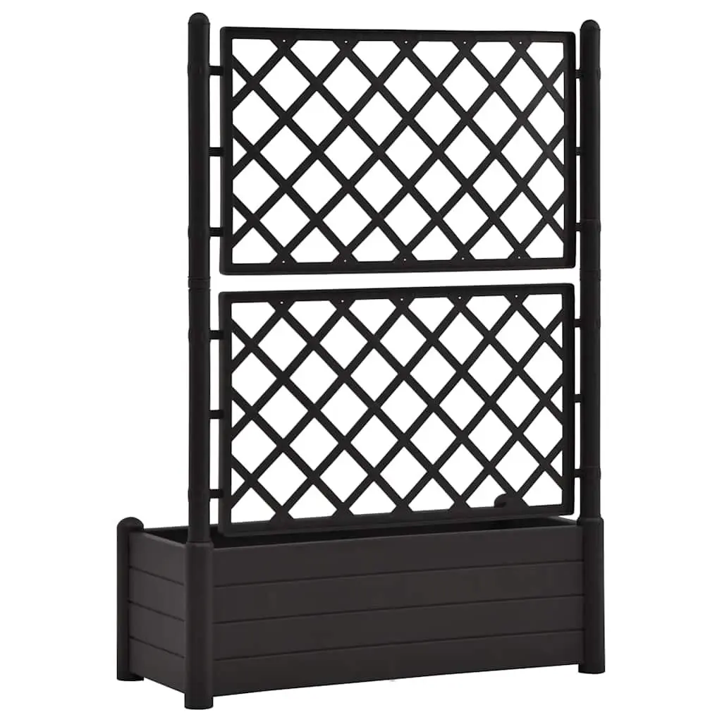 Garden Planter Raised Bed with Trellis 100 x 43 x 142 cm Anthracite