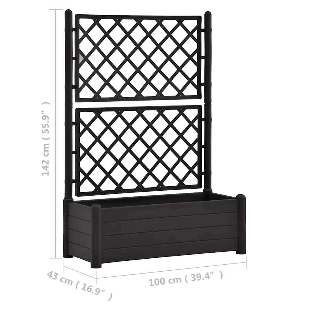 Garden Planter Raised Bed with Trellis 100 x 43 x 142 cm Anthracite
