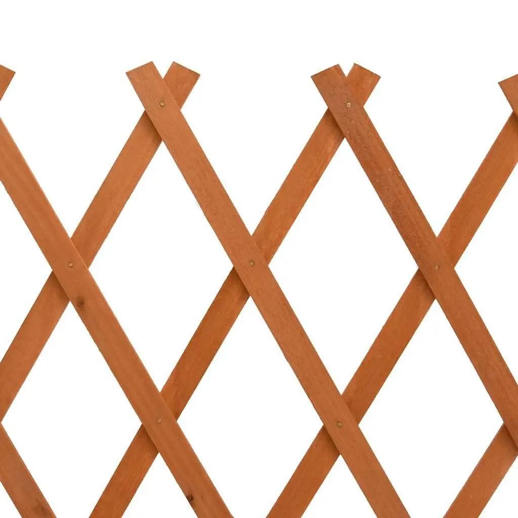 Garden Trellis Fence Panel Solid Firwood 120x60cm Orange Expandable Outdoor Privacy Screen