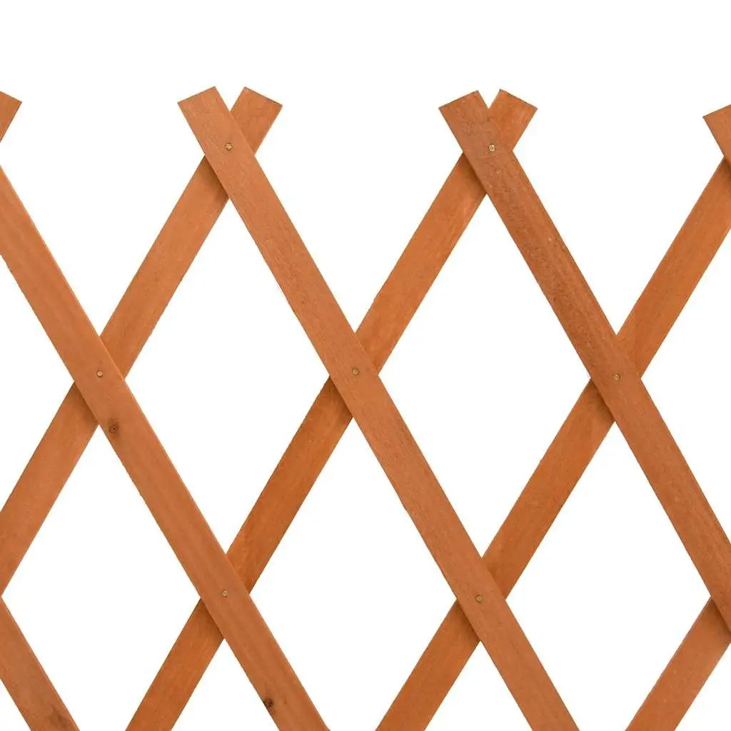 Wooden Garden Trellis Panel Expandable Outdoor Climbing Plant Support 150cm Orange