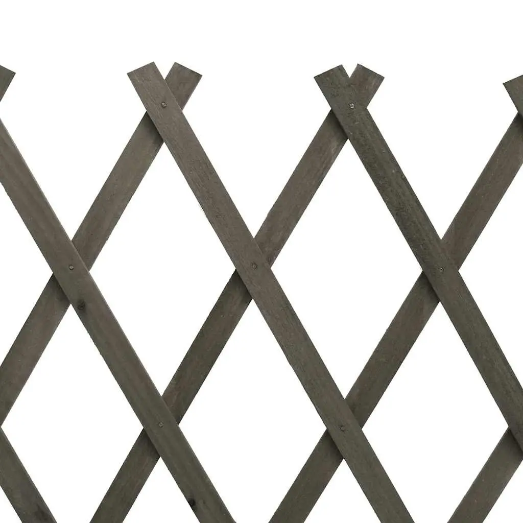 Garden Trellis Fence Panel Solid Firwood Expandable 150x80 cm Grey