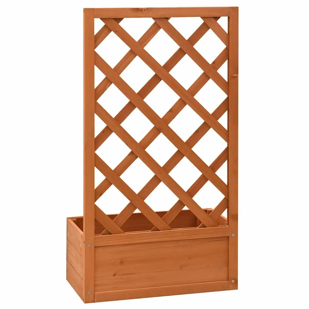 Orange Garden Planter with Trellis Support 50x25x90cm Solid Firwood Outdoor Climbing Plant Box