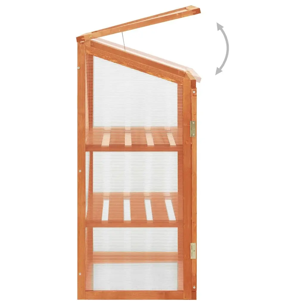 Wooden Greenhouse PC Board and Firwood 60x45x100 cm Brown