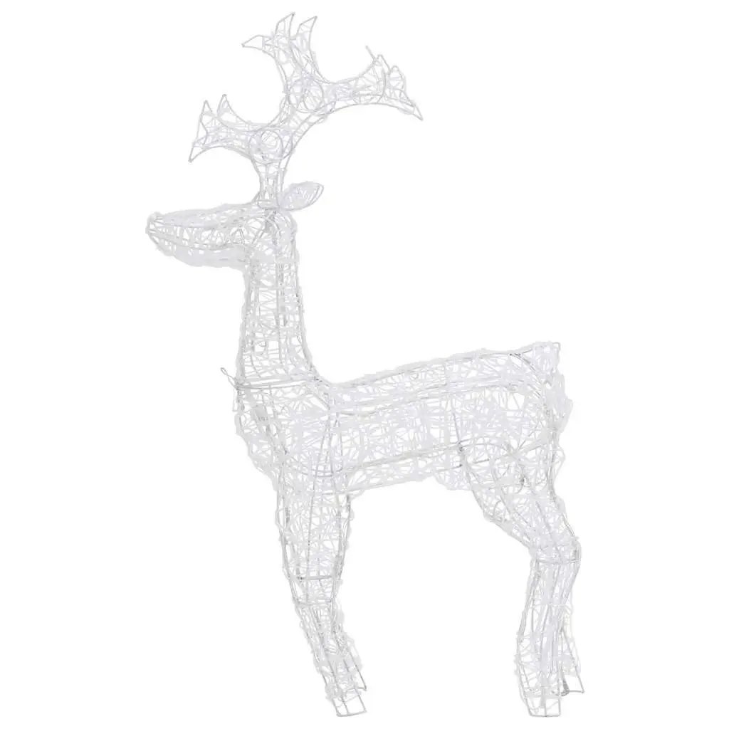 Reindeer Christmas Decorations 2 pcs Acrylic Outdoor Garden Warm White LED