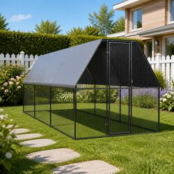 Practical Chicken Cage for Your Backyard