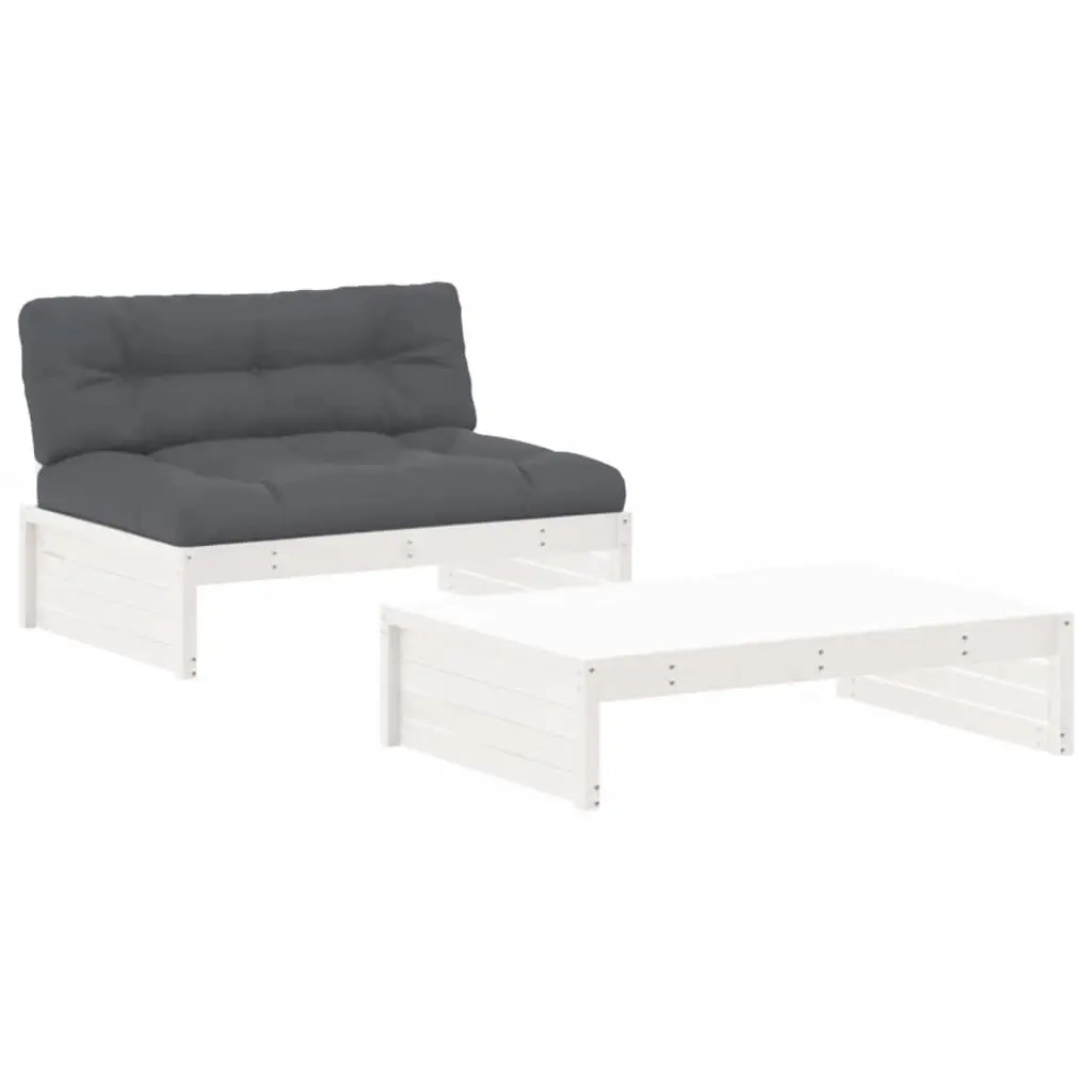 2-Piece Lounge Set for Outdoor Relaxation