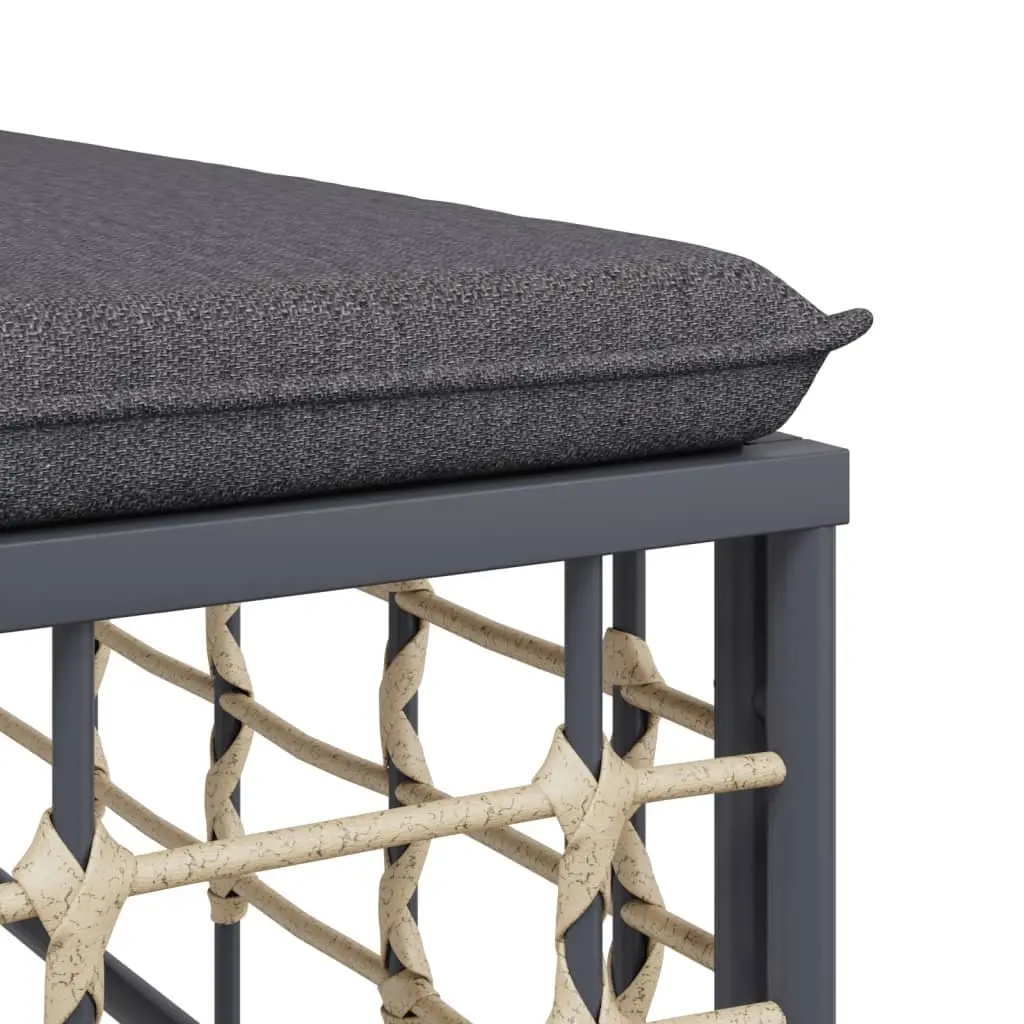 9 Piece Outdoor Lounge Set Poly Rattan Sofa Anthracite with Cushions