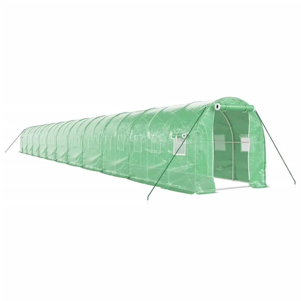 Greenhouse Garden Plant House PE Cover Steel Frame 22x2x2m Green Durable Outdoor Structure