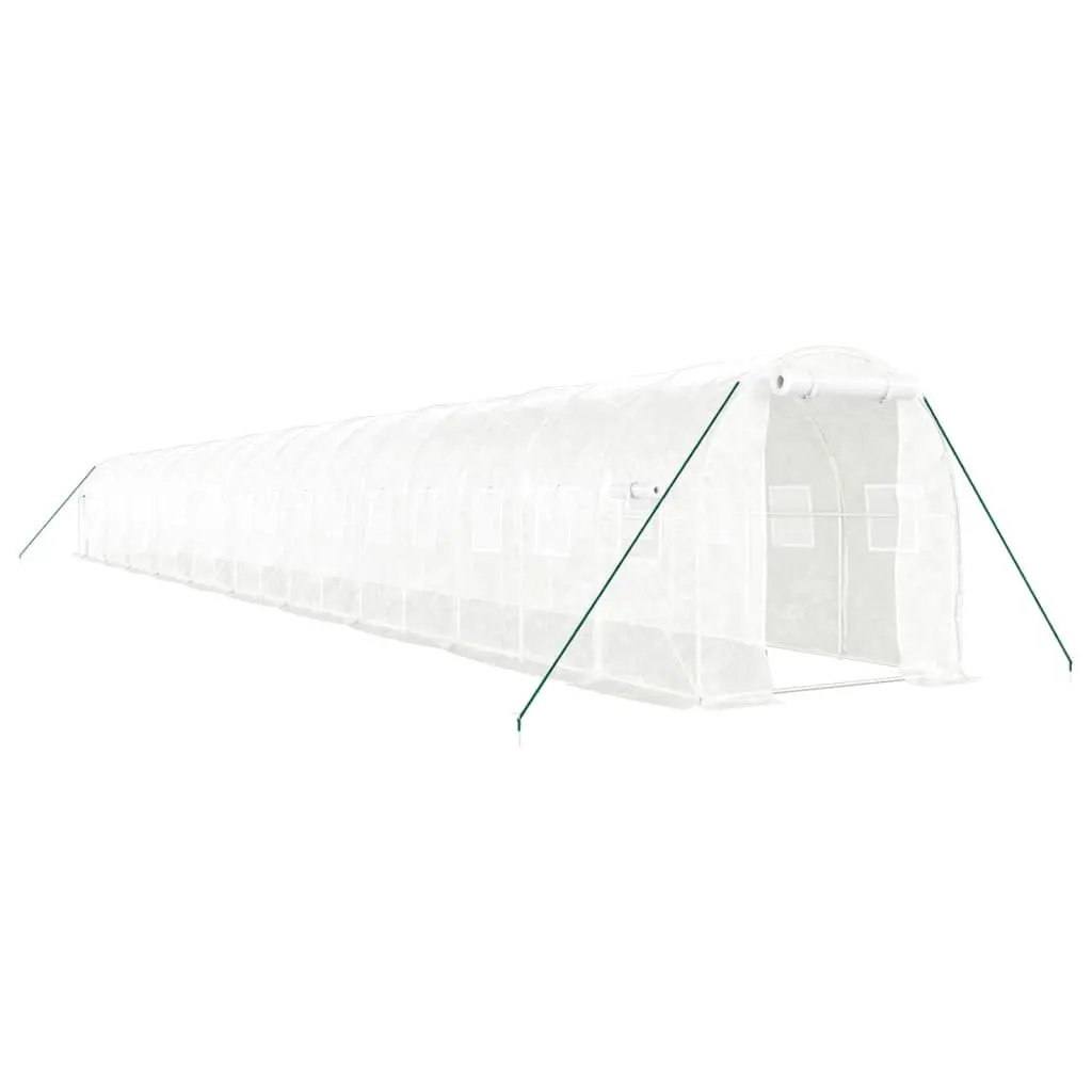 20x2x2m Greenhouse for Home Gardening