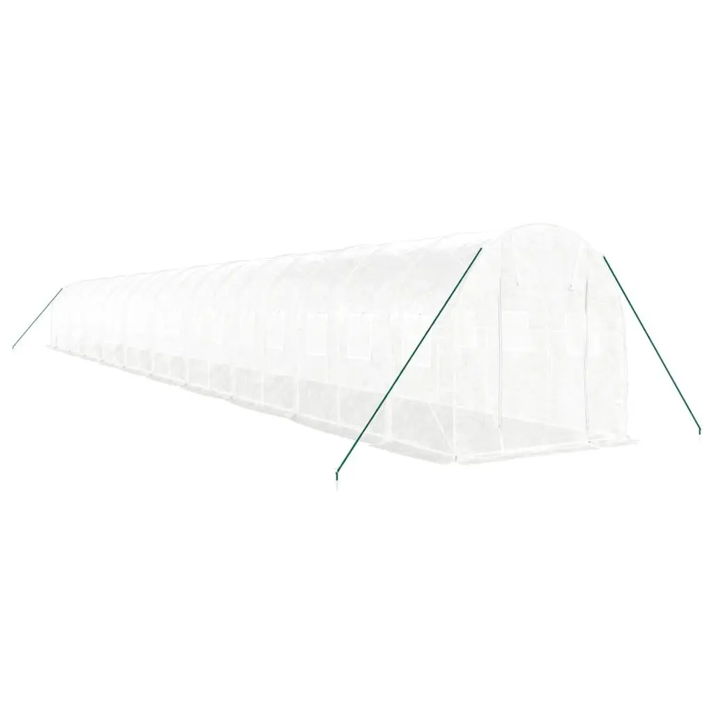 20x2x2m Greenhouse for Home Gardening
