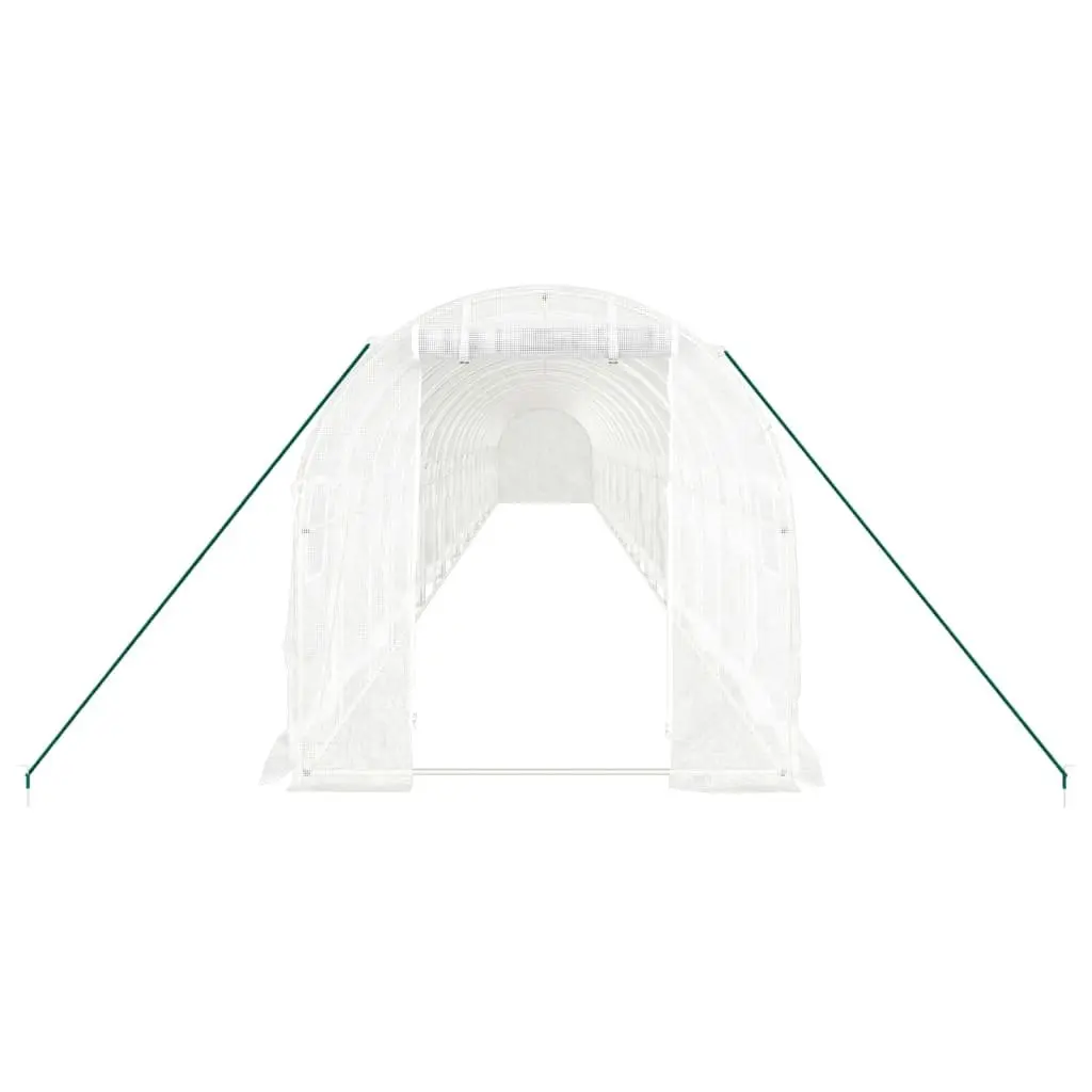 20x2x2m Greenhouse for Home Gardening