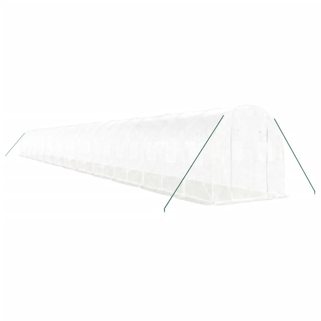 Greenhouse Steel Frame 24x2x2m White PE Cover