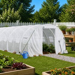 Practical Greenhouse 12x3x2m for Your Garden Needs
