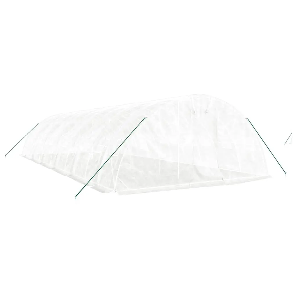 Greenhouse Steel Frame PE Cover 12m x 5m x 2.3m White Durable Garden Plant House