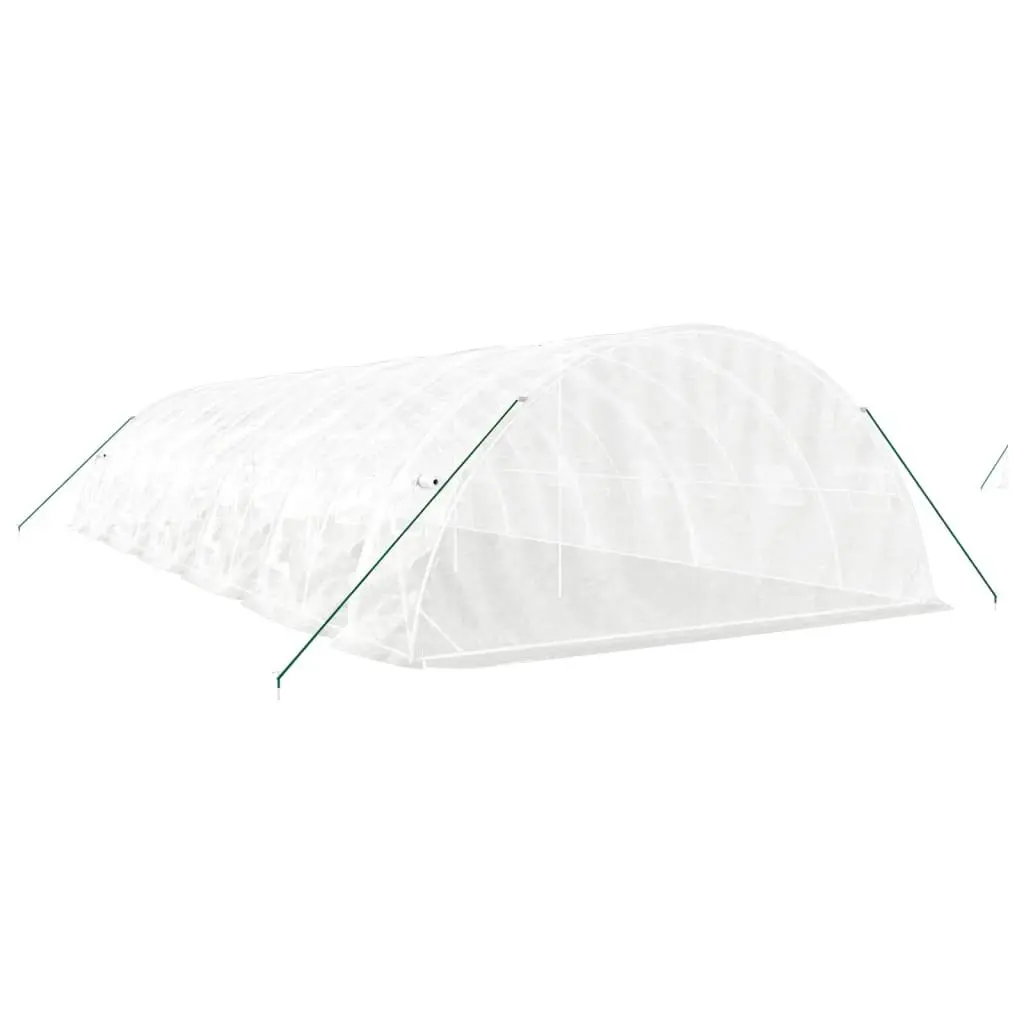 Greenhouse Steel Frame PE Cover 12m x 5m x 2.3m White Durable Garden Plant House
