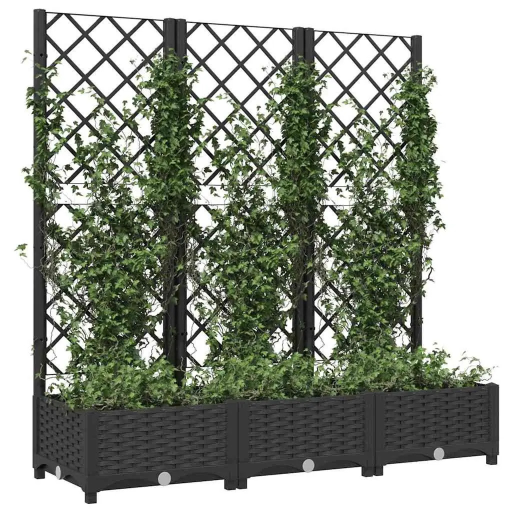 Garden Planter Trellis Outdoor Flower Pot Black 120 x 40 x 121.5 cm PP