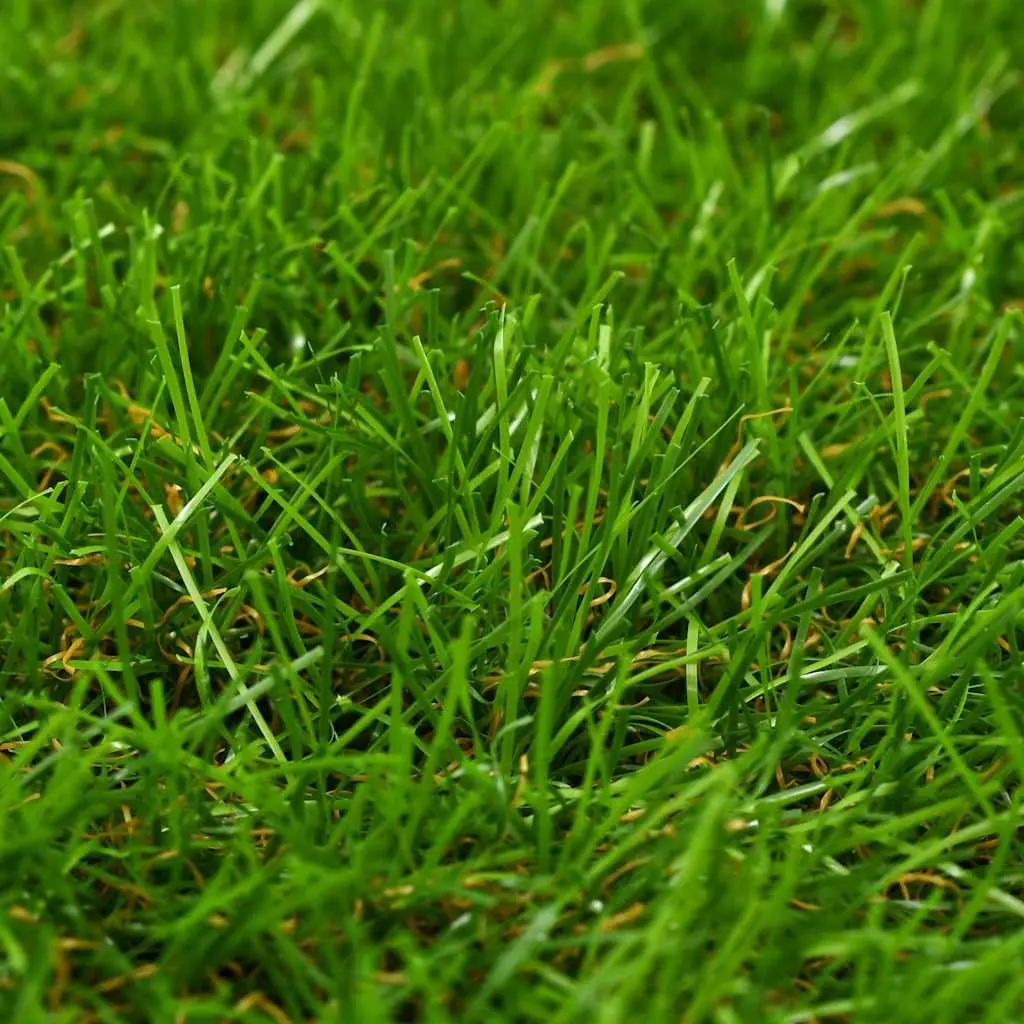 Artificial Grass Mat UV-Resistant 1x2 m Green 30 mm Pile Height Outdoor Indoor Garden Patio Lawn Decoration