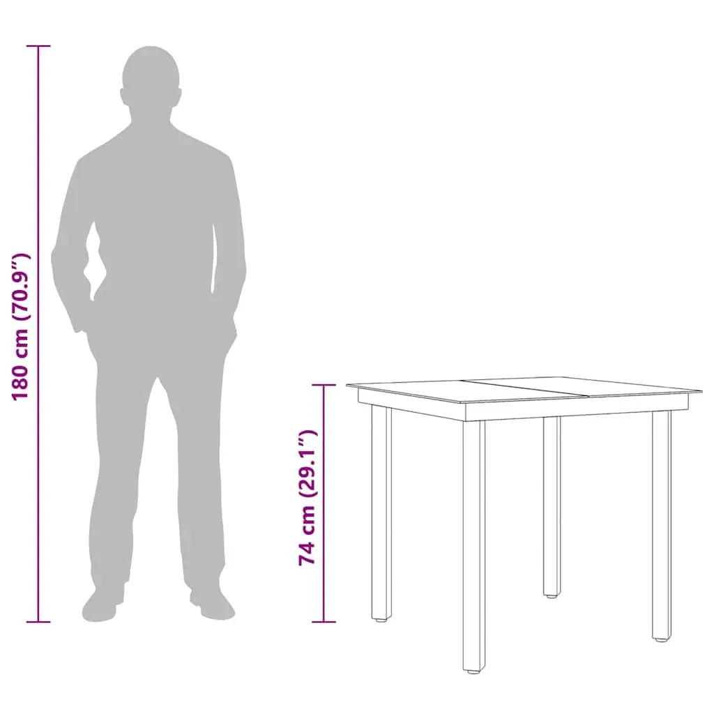 Outdoor Dining Table Steel Frame Black 80x80x74cm Minimalist Glass Top