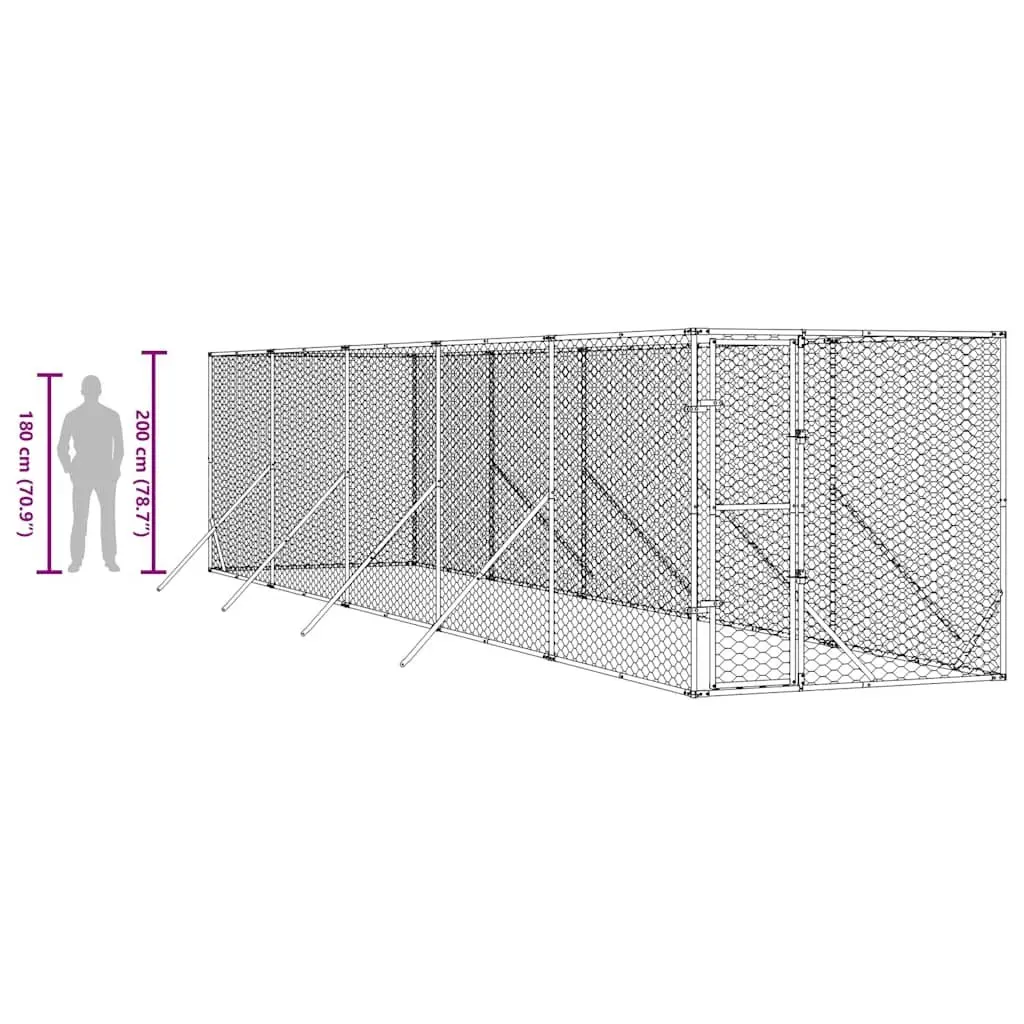 Outdoor Dog Kennel for Play and Rest