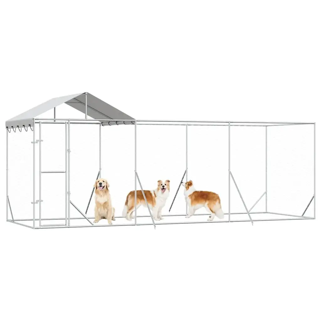Outdoor Dog Kennel 6x2x2.5m for Various Pets