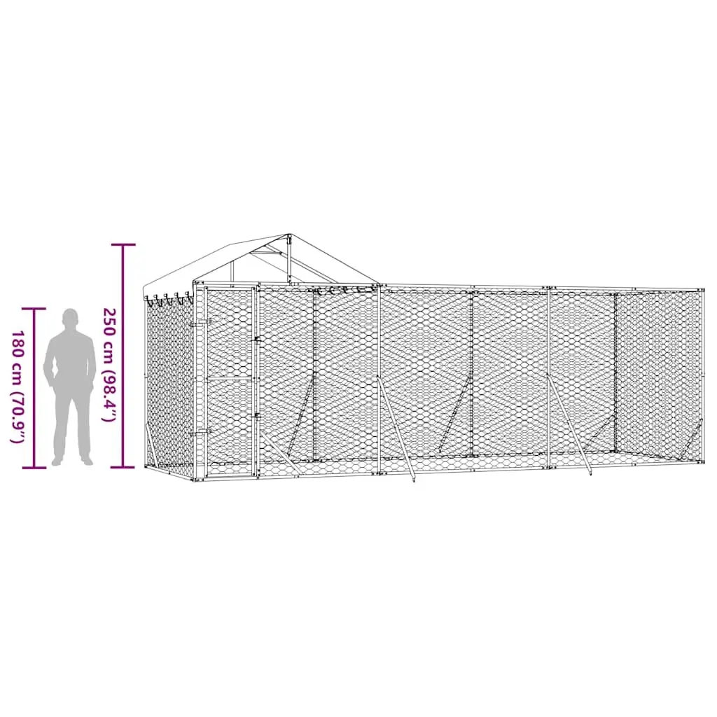 Outdoor Dog Kennel 6x2x2.5m for Various Pets