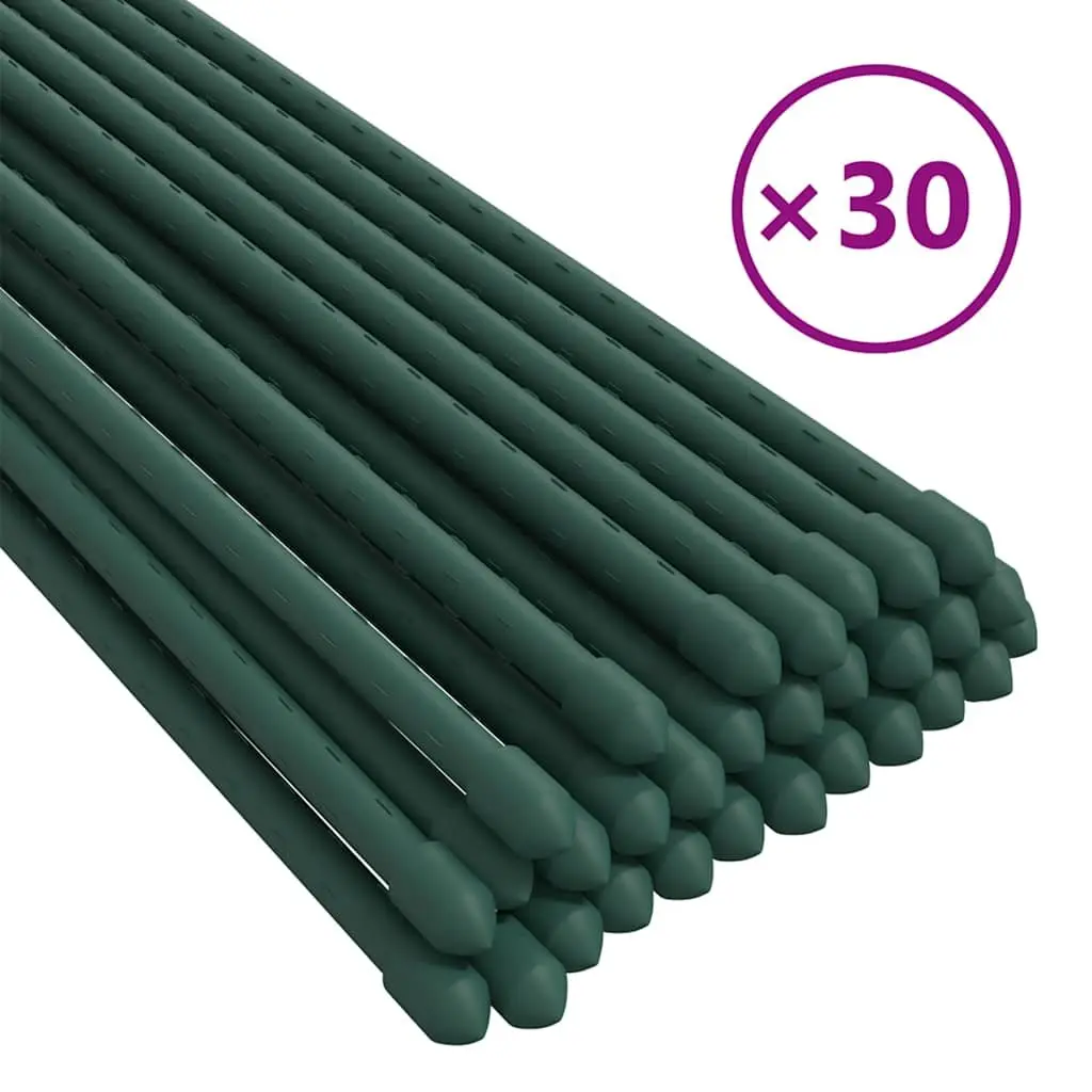 Plant Stakes Steel 150 cm Green 30 Piece Garden Support Climbing Flowers