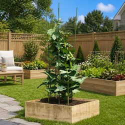 Plant Support Cage Ring 90cm Steel Garden Tomato Climbing Flower Vegetable