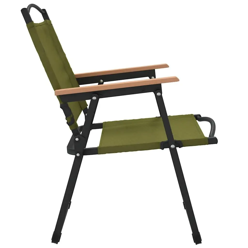 Folding Portable Camping Chair Powder-coated Steel Green Oxford Fabric 2 Piece